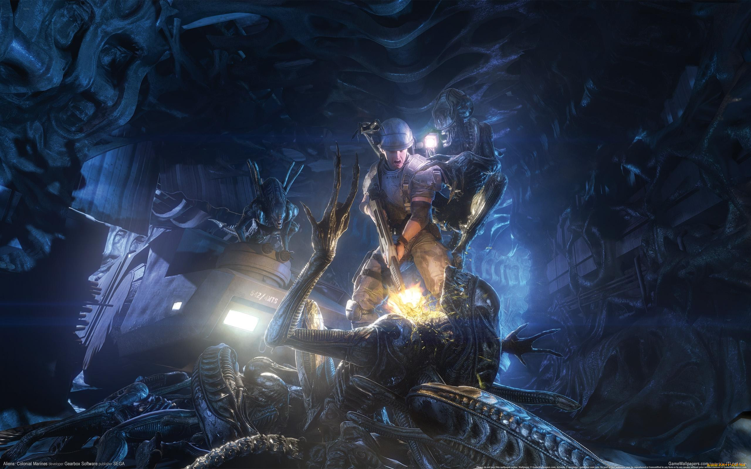 Обои Aliens: Colonial Marines Видео Игры Aliens: Colonial Marines, обои для  рабочего стола, фотографии aliens, colonial, marines, видео, игры, морпехи,  Чужие Обои для рабочего стола, скачать обои картинки заставки на рабочий  стол.